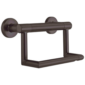 Contemporary Toilet Paper Holder with Assist Bar