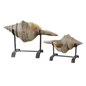 Conch Shell Sculpture Set of 2