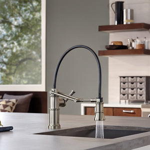 63225LF-SS Kitchen/Kitchen Faucets/Pull Down Spray Faucets