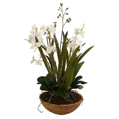 Product Image: 60039 Decor/Faux Florals/Plants & Trees