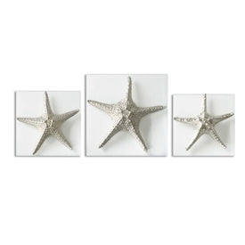 Silver Starfish Wall Art Set of 3
