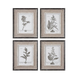 Casual Grey Study Framed Wall Art by Grace Feyock Set of 4
