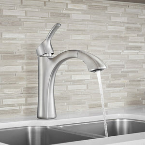 9125C Kitchen/Kitchen Faucets/Pull Out Spray Faucets