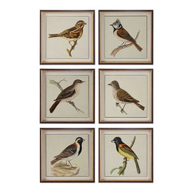 Spring Soldiers Bird Prints by Grace Feyock Set of 6
