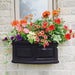 4829-B Outdoor/Lawn & Garden/Window Boxes