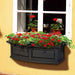 4830-B Outdoor/Lawn & Garden/Window Boxes