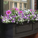 4830-B Outdoor/Lawn & Garden/Window Boxes