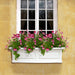 4830-W Outdoor/Lawn & Garden/Window Boxes