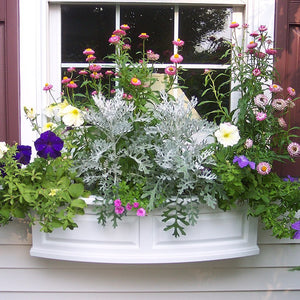 4830-W Outdoor/Lawn & Garden/Window Boxes