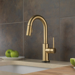 9959T-CZ-DST Kitchen/Kitchen Faucets/Bar & Prep Faucets