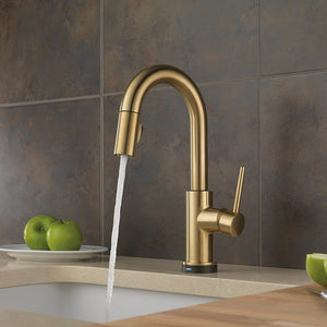 9959T-CZ-DST Kitchen/Kitchen Faucets/Bar & Prep Faucets