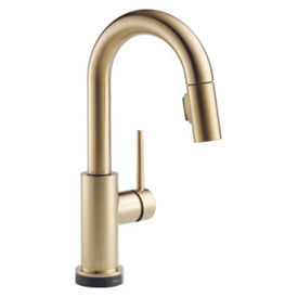 Trinsic Single Handle Pull Down Bar/Prep Faucet with Touch2O Technology