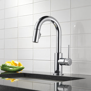 9959-DST Kitchen/Kitchen Faucets/Bar & Prep Faucets