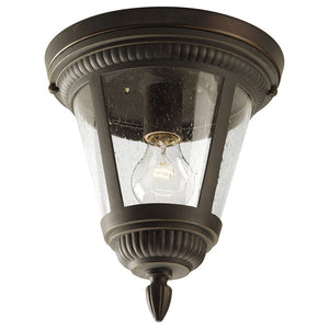 P3883-20 Lighting/Outdoor Lighting/Outdoor Flush & Semi-Flush Lights