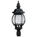 P5401-31 Lighting/Outdoor Lighting/Post & Pier Mount Lighting