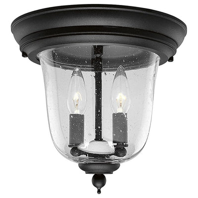 P5562-31 Lighting/Outdoor Lighting/Outdoor Flush & Semi-Flush Lights