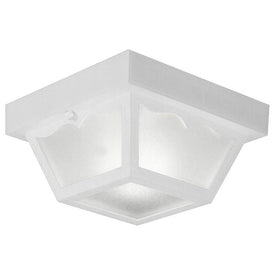 Single-Light Flush Mount Ceiling Lighting Fixture