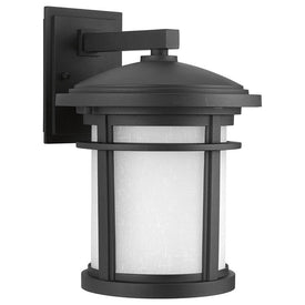 Wish Single-Light LED Medium Wall Lantern with AC LED Module