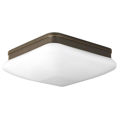 Product Image: P3511-20 Lighting/Ceiling Lights/Flush & Semi-Flush Lights