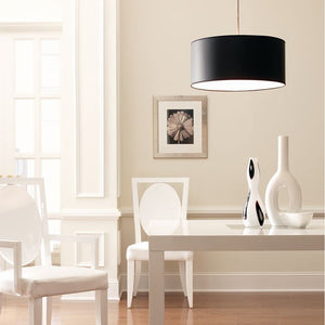 P8824-01 Lighting/Ceiling Lights/Pendant Shades & Accessories