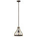 FR40577IRR Lighting/Ceiling Lights/Pendants