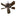 Ceiling Fan Chateaux 60" Oiled Bronze 5 Blade Oiled Bronze/Walnut Scalloped