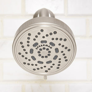 S-4200-BN-E2 Bathroom/Bathroom Tub & Shower Faucets/Showerheads