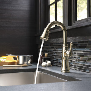 9997-PN-DST Kitchen/Kitchen Faucets/Bar & Prep Faucets