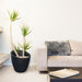 8879-B Outdoor/Lawn & Garden/Planters