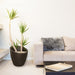 8879-ES Outdoor/Lawn & Garden/Planters