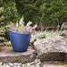 8879-NB Outdoor/Lawn & Garden/Planters