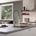 64225LF-SS Kitchen/Kitchen Faucets/Kitchen Faucets without Spray