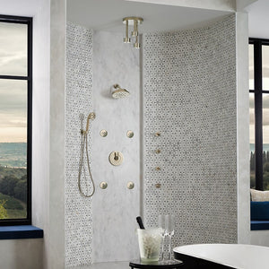 81335-PN Bathroom/Bathroom Tub & Shower Faucets/Showerheads
