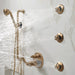 88735-GL Bathroom/Bathroom Tub & Shower Faucets/Handshowers