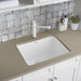 401927 Laundry Utility & Service/Laundry Utility & Service Sinks/Drop in Utility Sinks