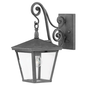 Trellis Single-Light Small Wall-Mount Lantern