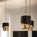 FR34317HBR Lighting/Ceiling Lights/Pendants