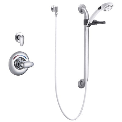Product Image: T13H302 Bathroom/Bathroom Tub & Shower Faucets/Showerhead & Handshower Combos