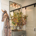 5293AN Lighting/Wall Lights/Vanity & Bath Lights