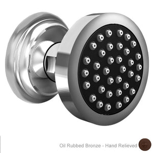 2178/ORB Bathroom/Bathroom Tub & Shower Faucets/Body Sprays