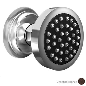 2178/VB Bathroom/Bathroom Tub & Shower Faucets/Body Sprays