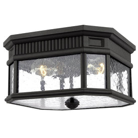 Outdoor Light Cotswold Lane Flushmount Ceiling 2 Lamp Black Clear Seeded Glass UL Edison 60 Watt