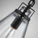 P1370ORB Lighting/Ceiling Lights/Pendants