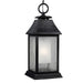 OL10611DWZ Lighting/Outdoor Lighting/Outdoor Pendants