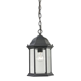Spring Lake Single-Light Outdoor Hanging Lantern