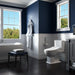SW3046#01 Bathroom/Toilets Bidets & Bidet Seats/Bidet Seats