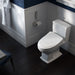 SW3046#01 Bathroom/Toilets Bidets & Bidet Seats/Bidet Seats