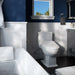 SW3046#01 Bathroom/Toilets Bidets & Bidet Seats/Bidet Seats