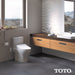 SW3046#01 Bathroom/Toilets Bidets & Bidet Seats/Bidet Seats