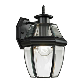 Ashford Single-Light Small Outdoor Wall Lantern